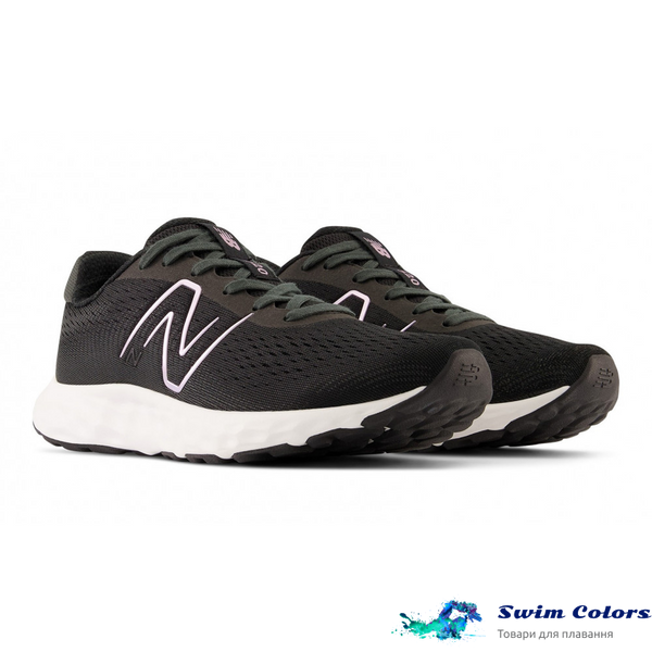 Жіночі кросівки New Balance 520 V8 W520LB8 фото