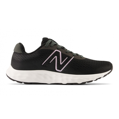 Жіночі кросівки New Balance 520 V8 W520LB8 фото